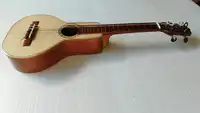 Baldola llanera mediana