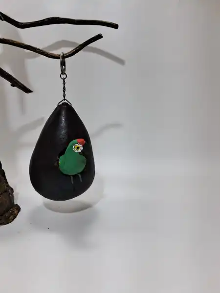 nido de loro