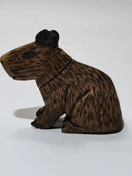 usb de capibara