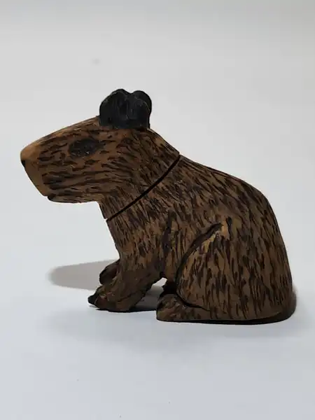 usb de capibara