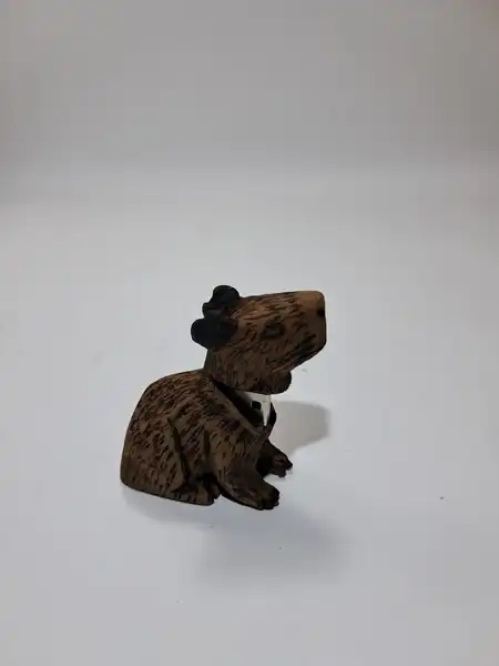 usb de capibara