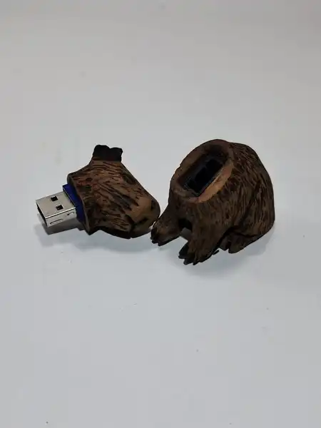 usb de capibara