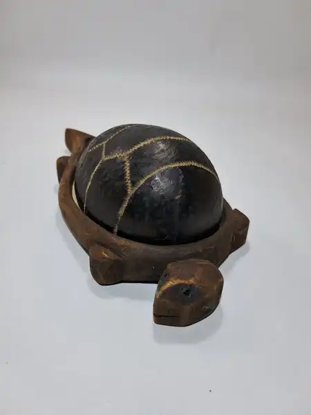 cofre de tortuga pequeño