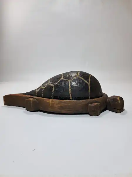 cofre de tortuga pequeño