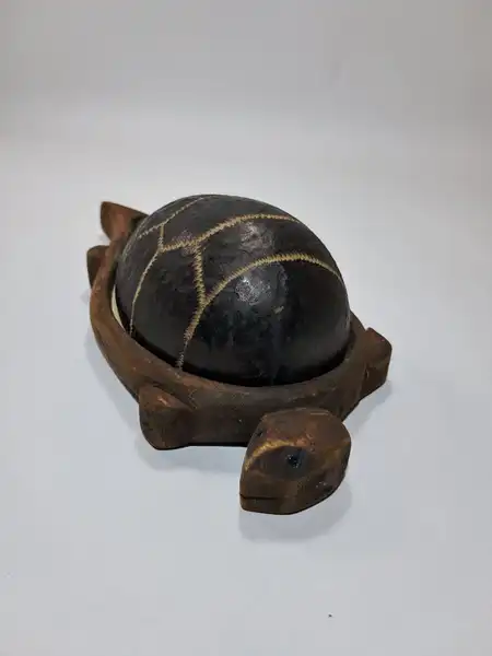 cofre de tortuga pequeño