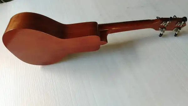 Baldola llanera mediana